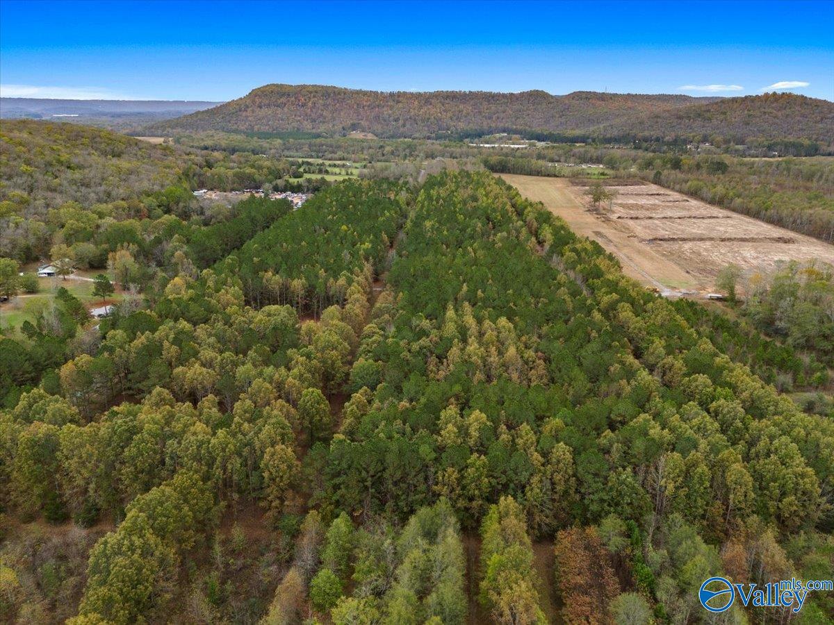 6.96 Acres County Road 531, Scottsboro, Alabama image 14