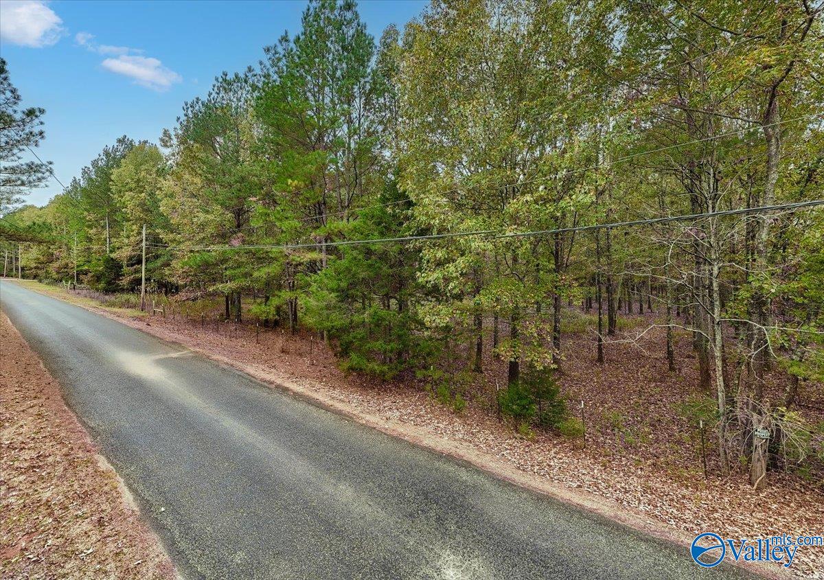 6.96 Acres County Road 531, Scottsboro, Alabama image 19