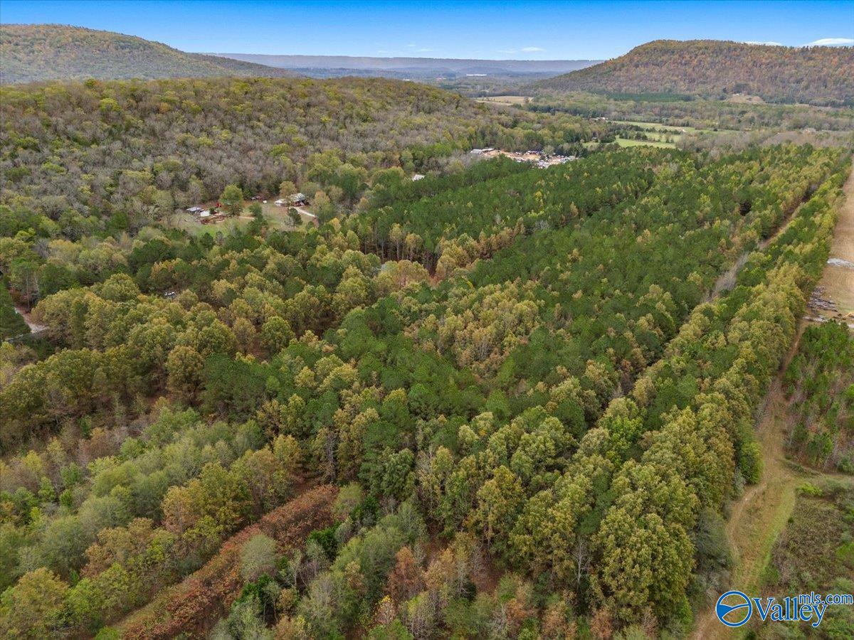 6.96 Acres County Road 531, Scottsboro, Alabama image 2