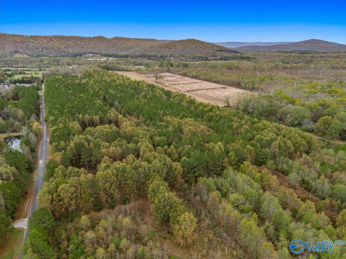 6.96 Acres County Road 531, Scottsboro, Alabama image 15