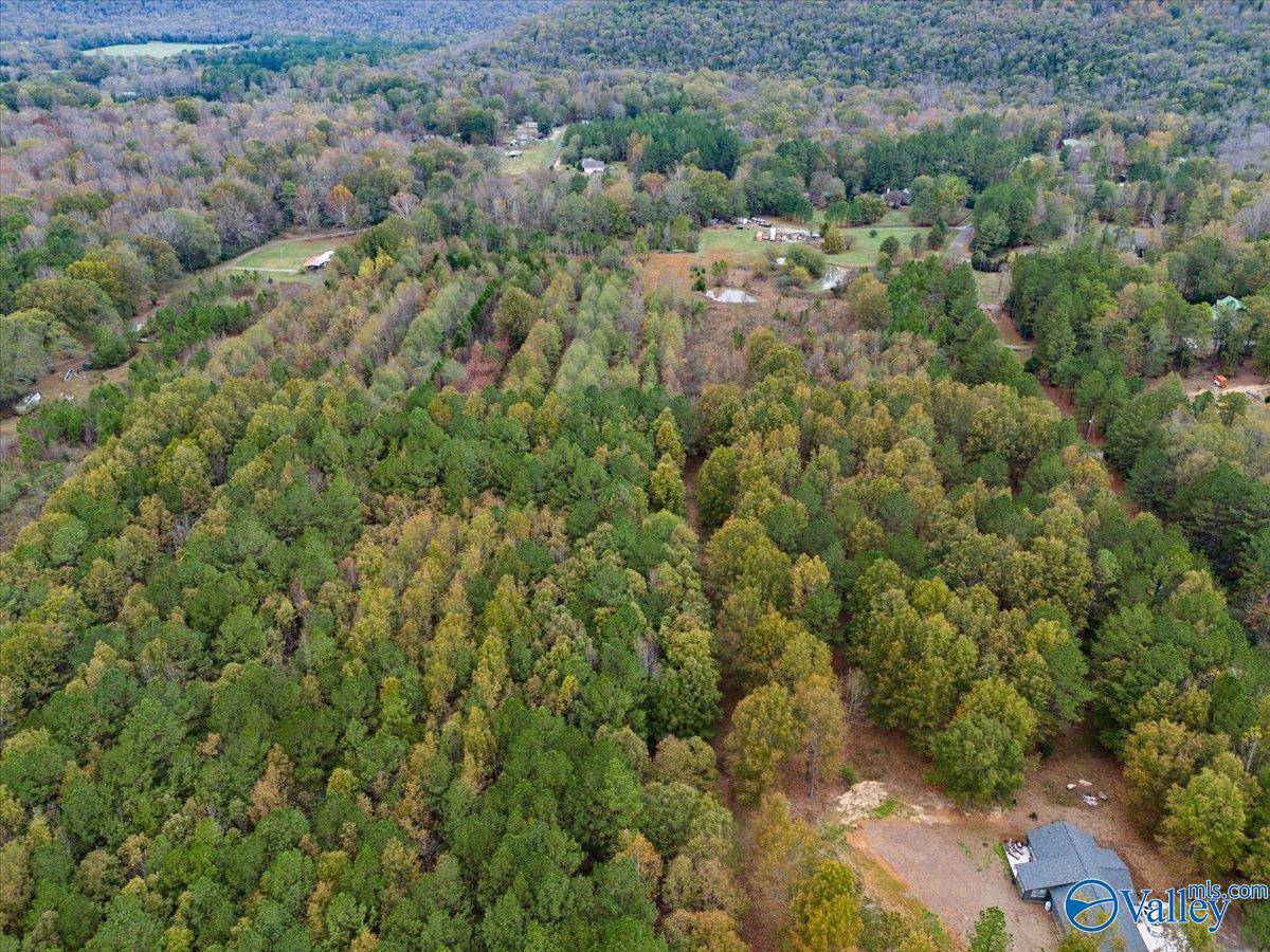 6.96 Acres County Road 531, Scottsboro, Alabama image 8