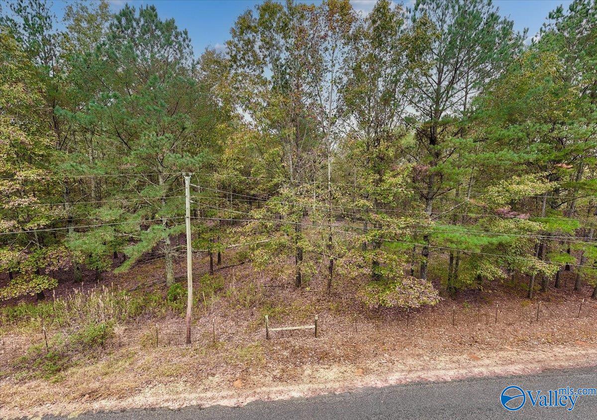 6.96 Acres County Road 531, Scottsboro, Alabama image 17