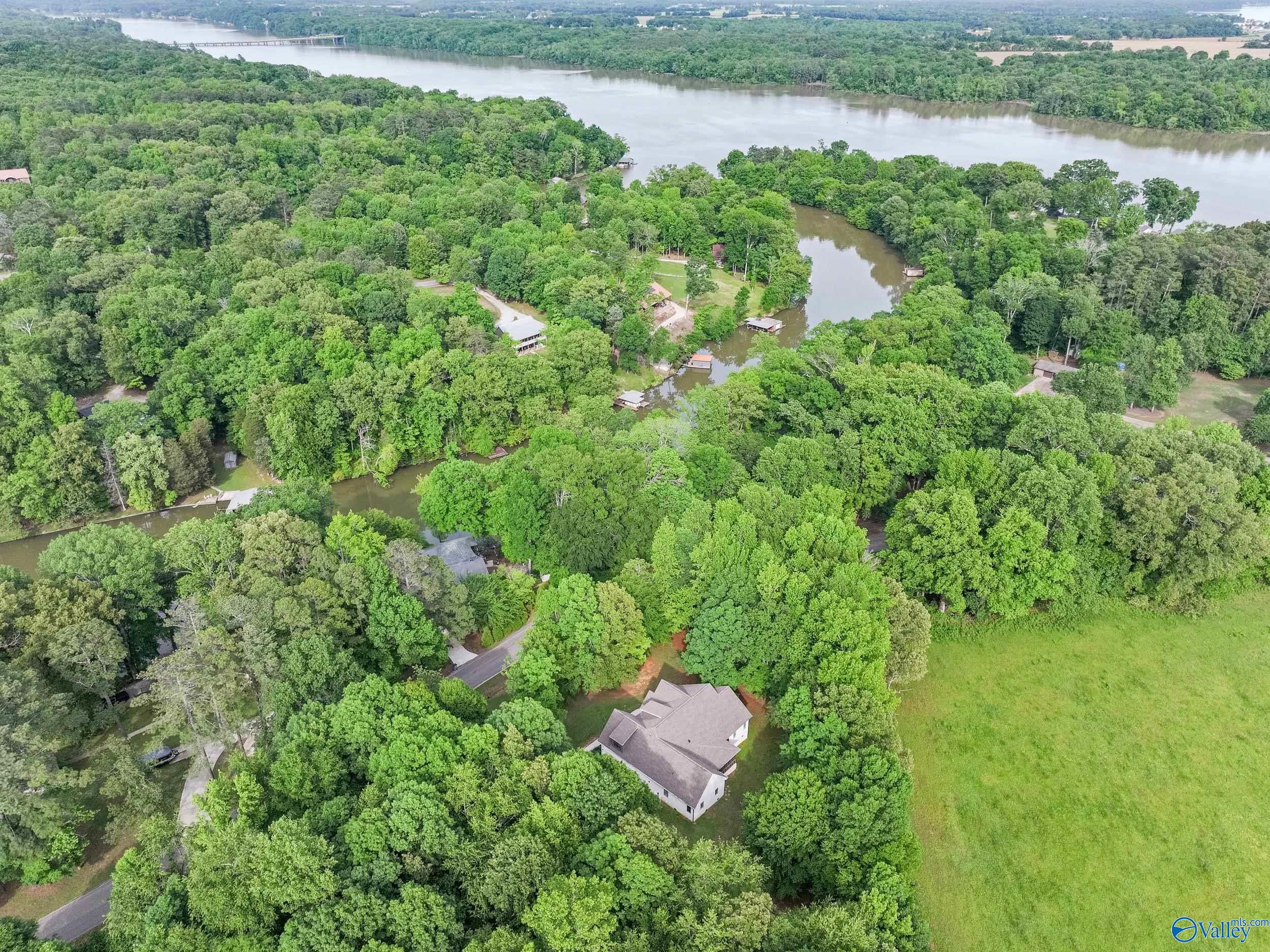 290 Poplar Springs Drive, Rogersville, Alabama image 11