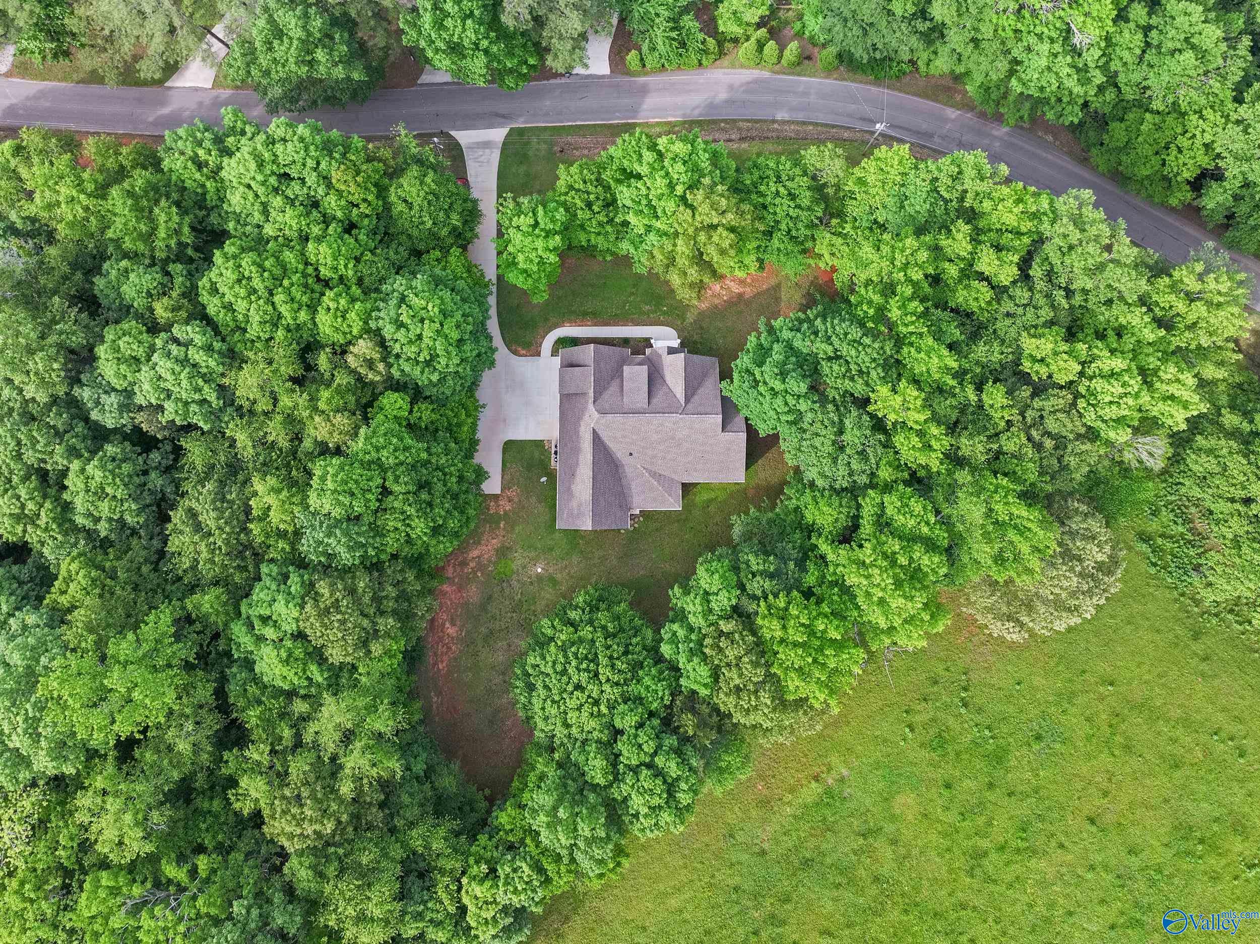 290 Poplar Springs Drive, Rogersville, Alabama image 8
