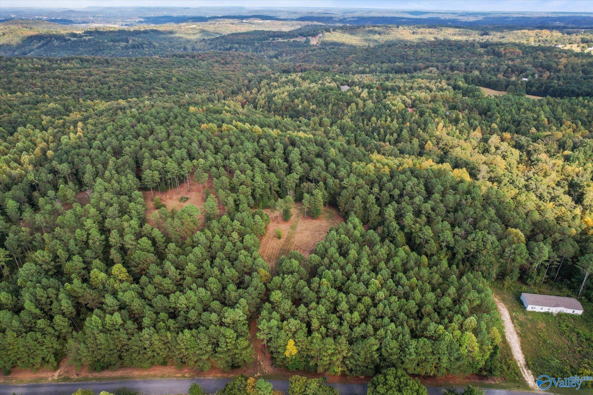 43.8 Acres Davis Gap Road