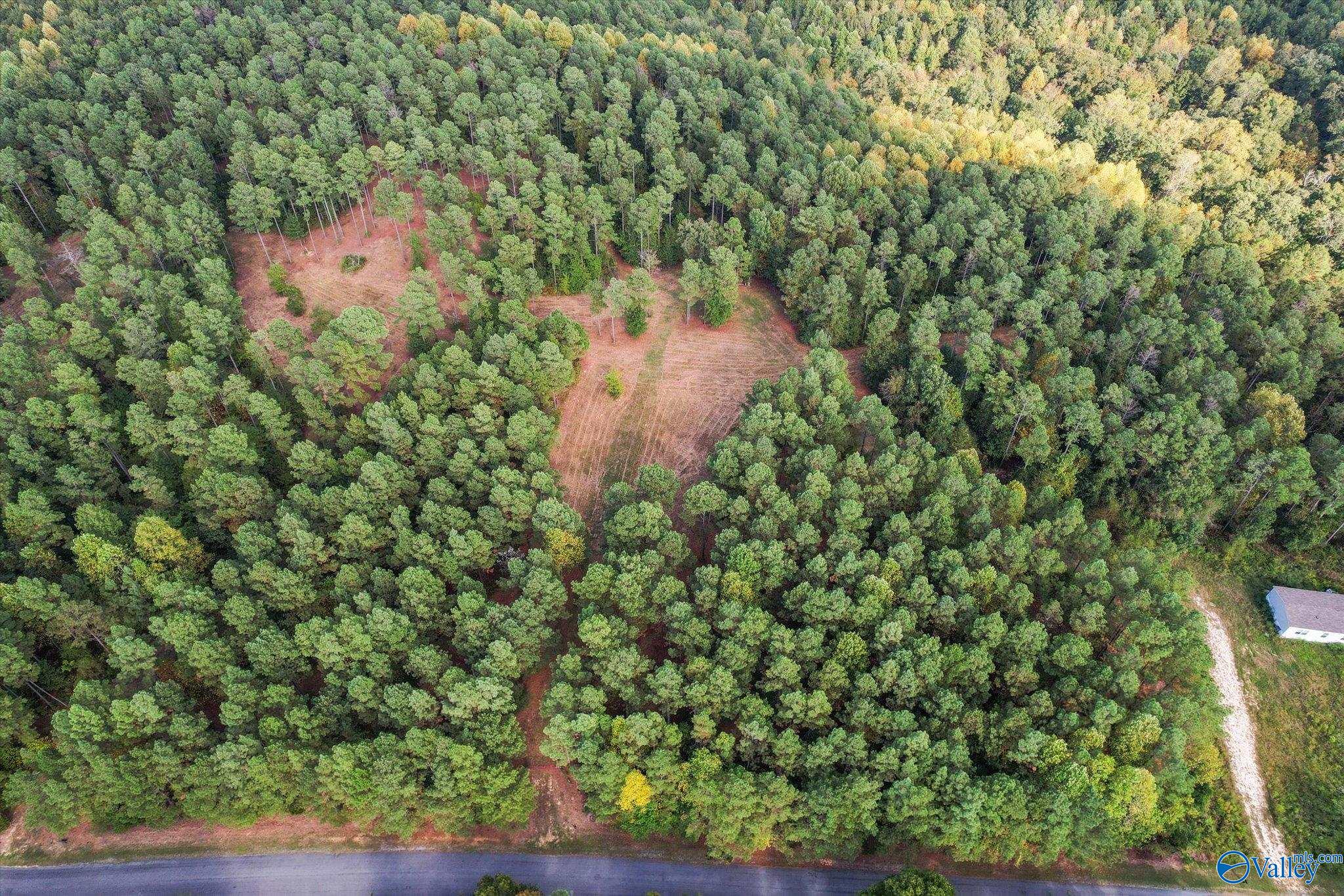 43.8 Acres Davis Gap Road