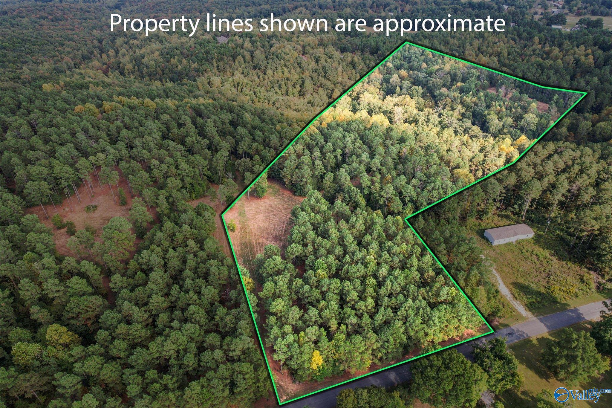 43.8 Acres Davis Gap Road