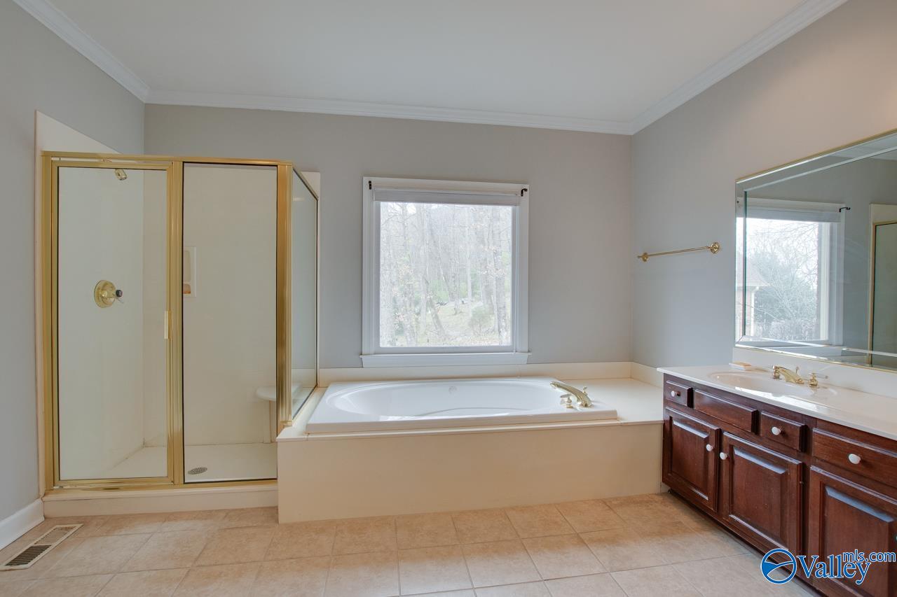 1731 Drake Avenue, Huntsville, Alabama image 21