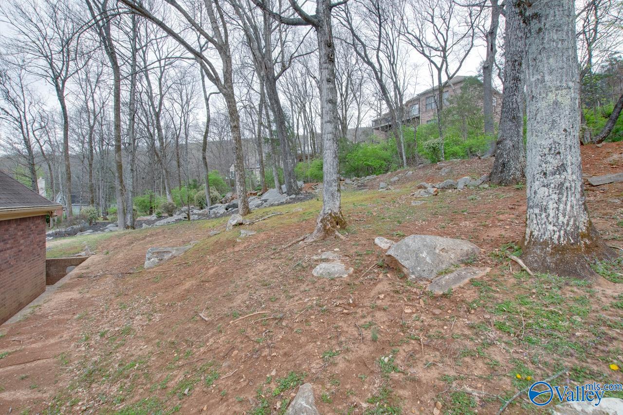 1731 Drake Avenue, Huntsville, Alabama image 32
