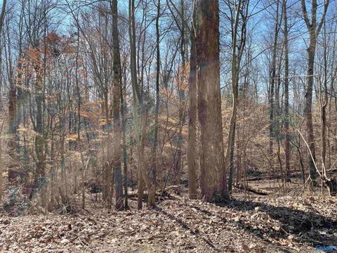 Vacant Land For Sale - A LOT 16 Cardinal Drive<br/> Guntersville, AL 35976