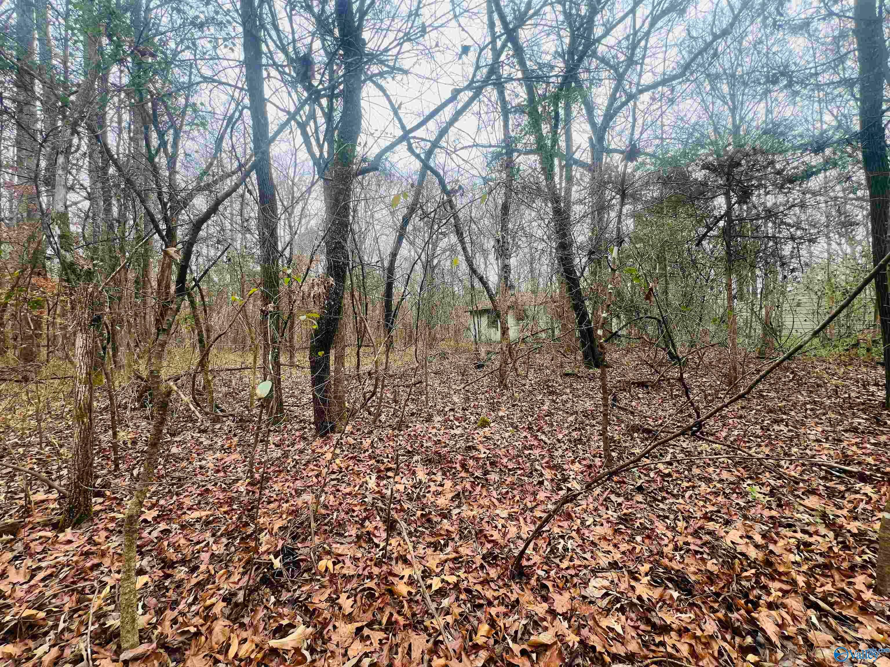 1 ACRE Whitman Circle NE
