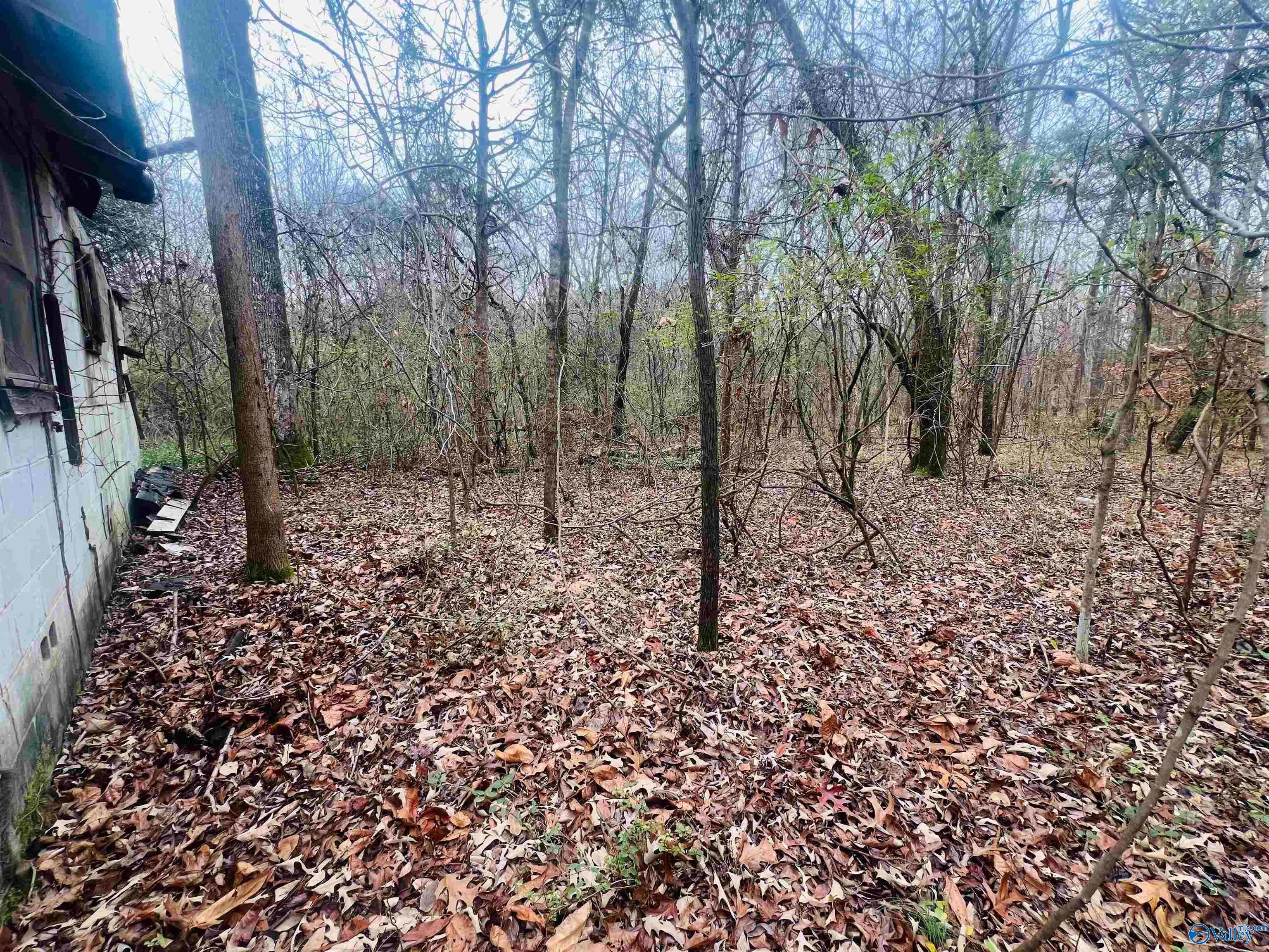 1 ACRE Whitman Circle NE