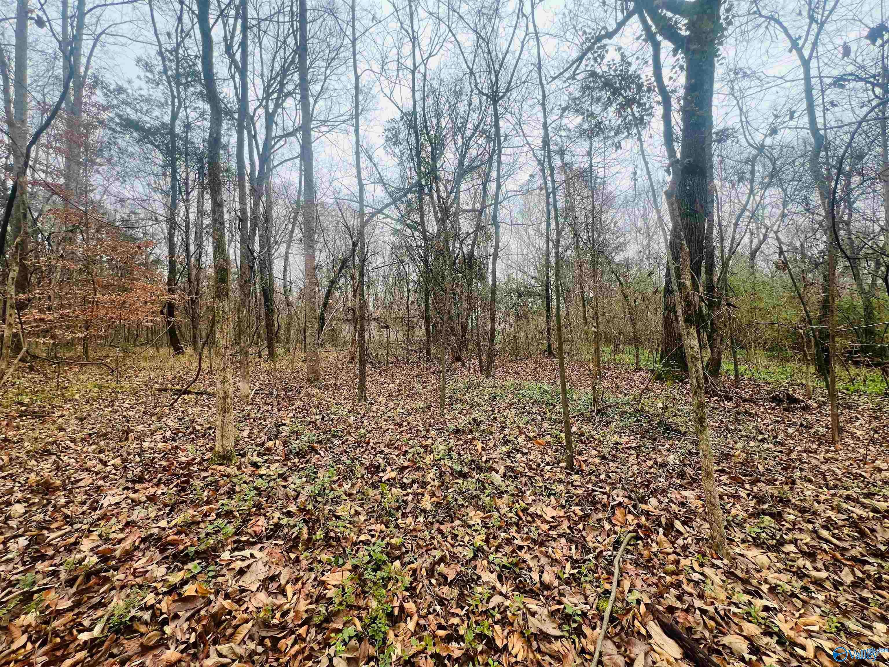 1 ACRE Whitman Circle NE