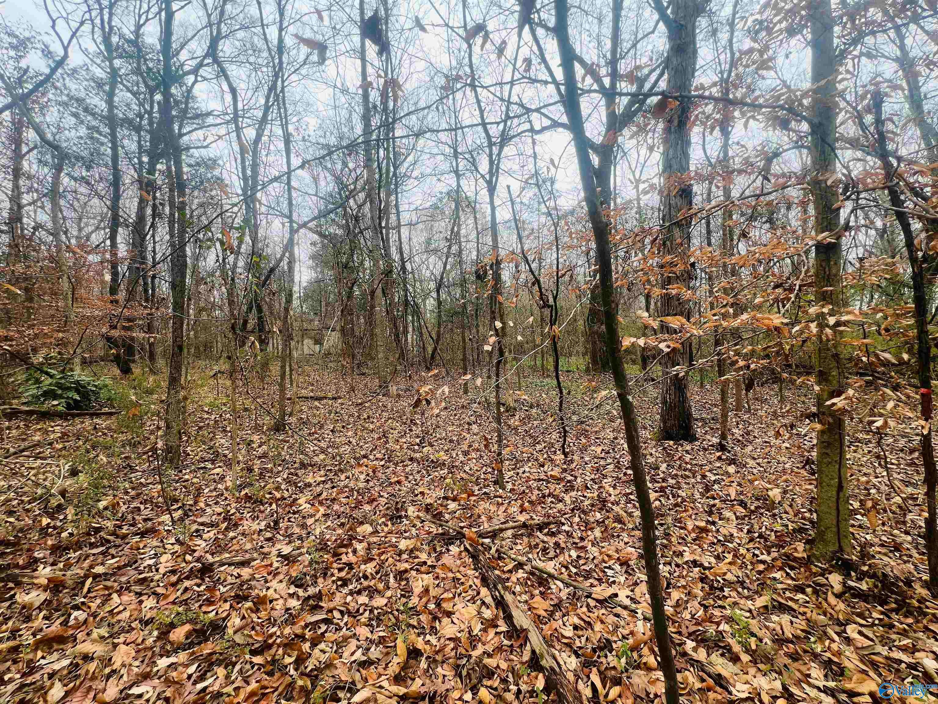 1 ACRE Whitman Circle NE
