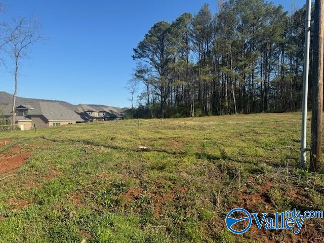 145 Knotty Walls Road, Owens Cross Roads, Alabama image 1