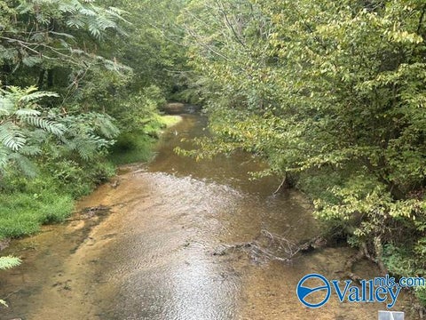 Vacant Land For Sale - 4690 (A) County Road 14<br/> Waterloo, AL 35677
