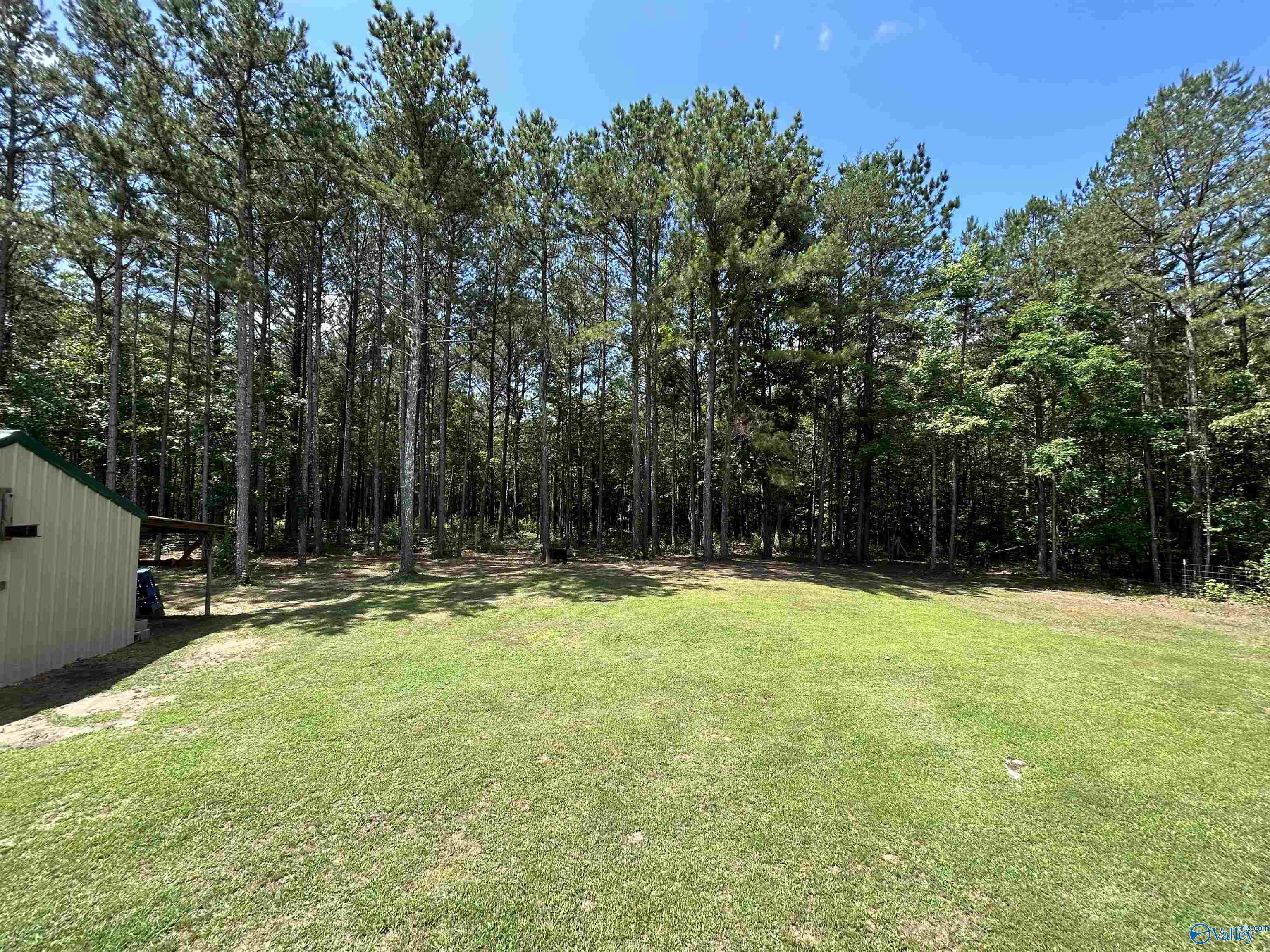 181 County Road 814, Flat Rock, Alabama image 37
