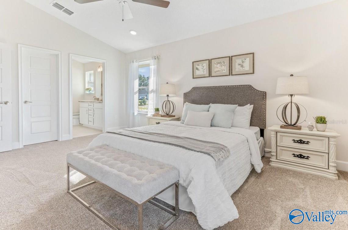 119 Sidney Ruth Drive, New Market, Alabama image 14
