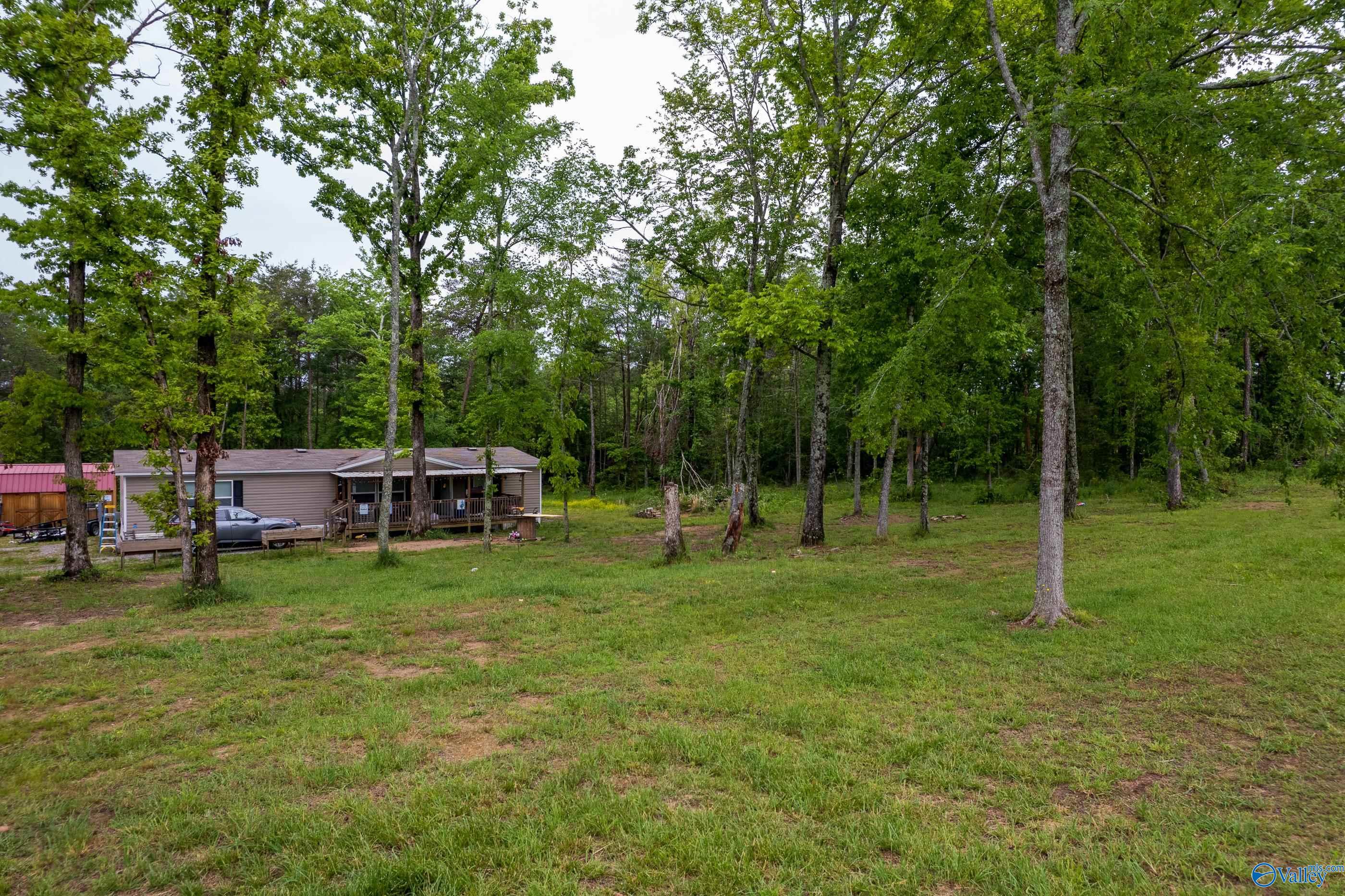 287 County Road 431, Bryant, Alabama image 4