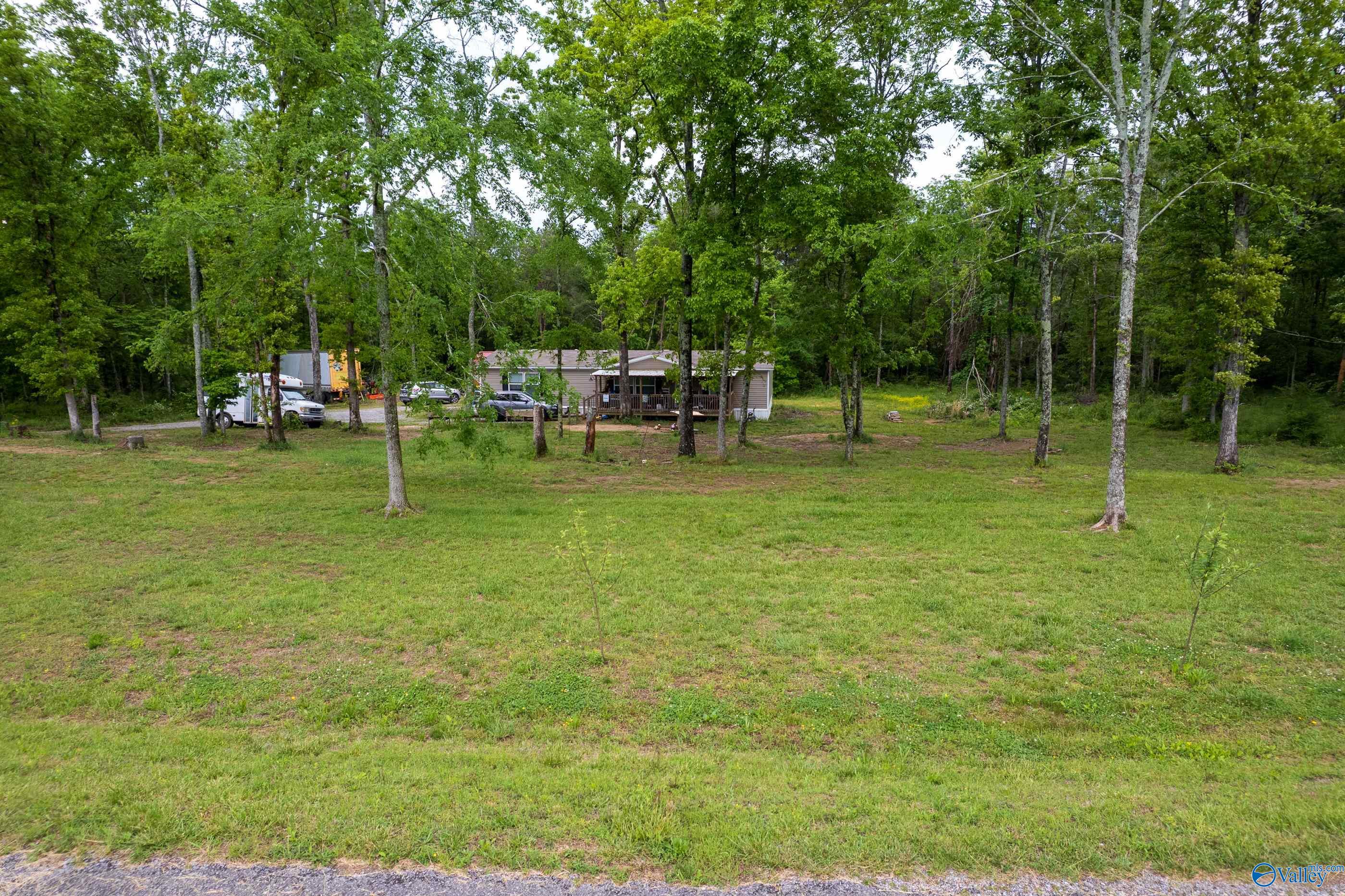287 County Road 431, Bryant, Alabama image 5