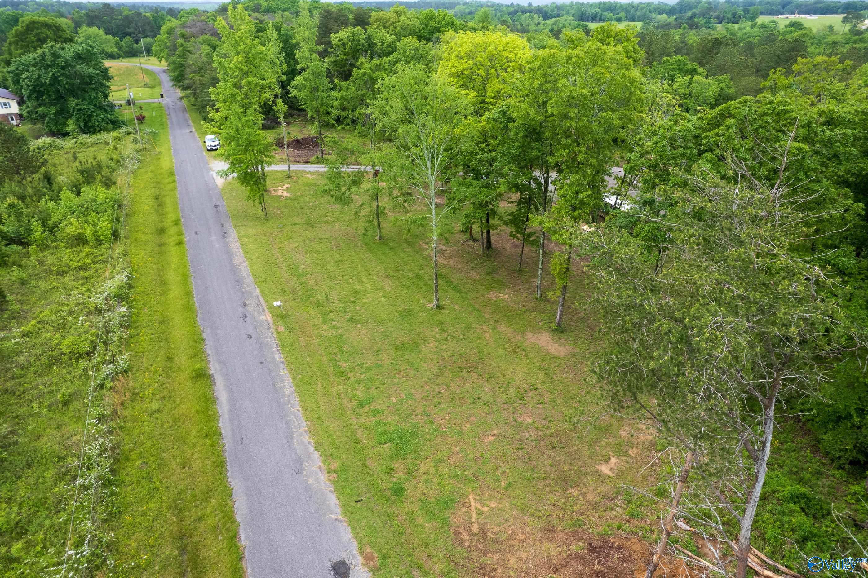 287 County Road 431, Bryant, Alabama image 3
