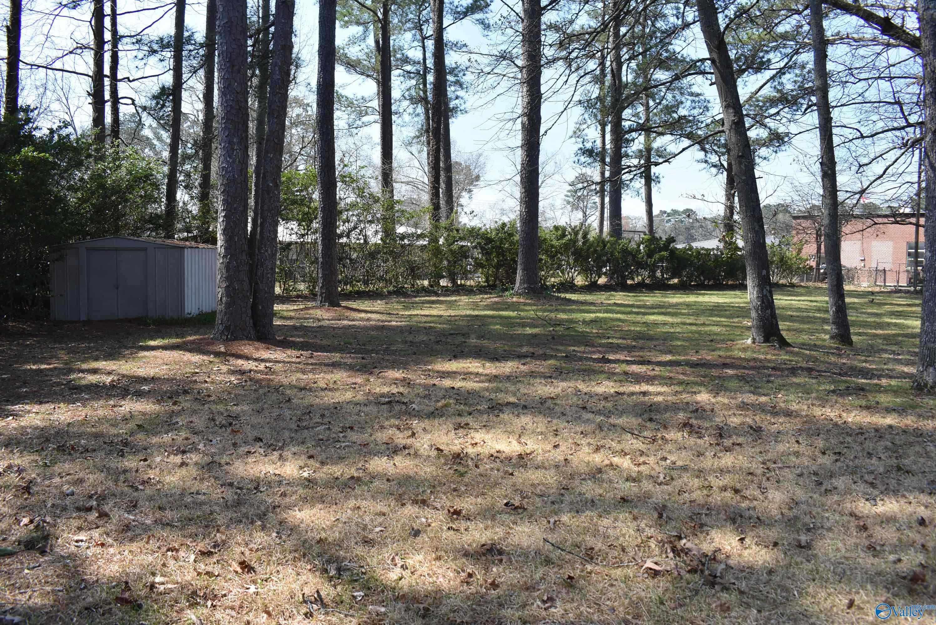 60 Alpine View, Gadsden, Alabama image 15