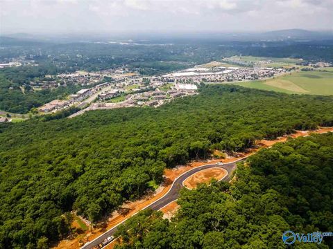 Vacant Land For Sale - 16 South Ridge<br/> Huntsville, AL 35802