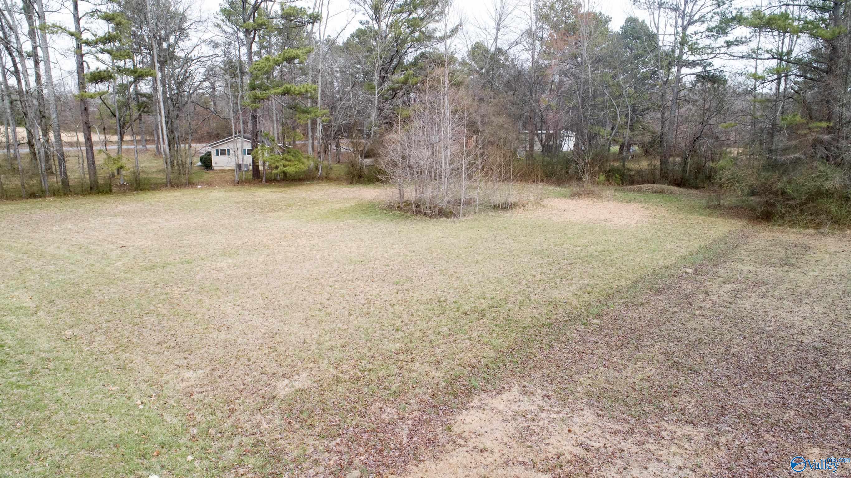 316 Dan Crutcher Road, Toney, Alabama image 45