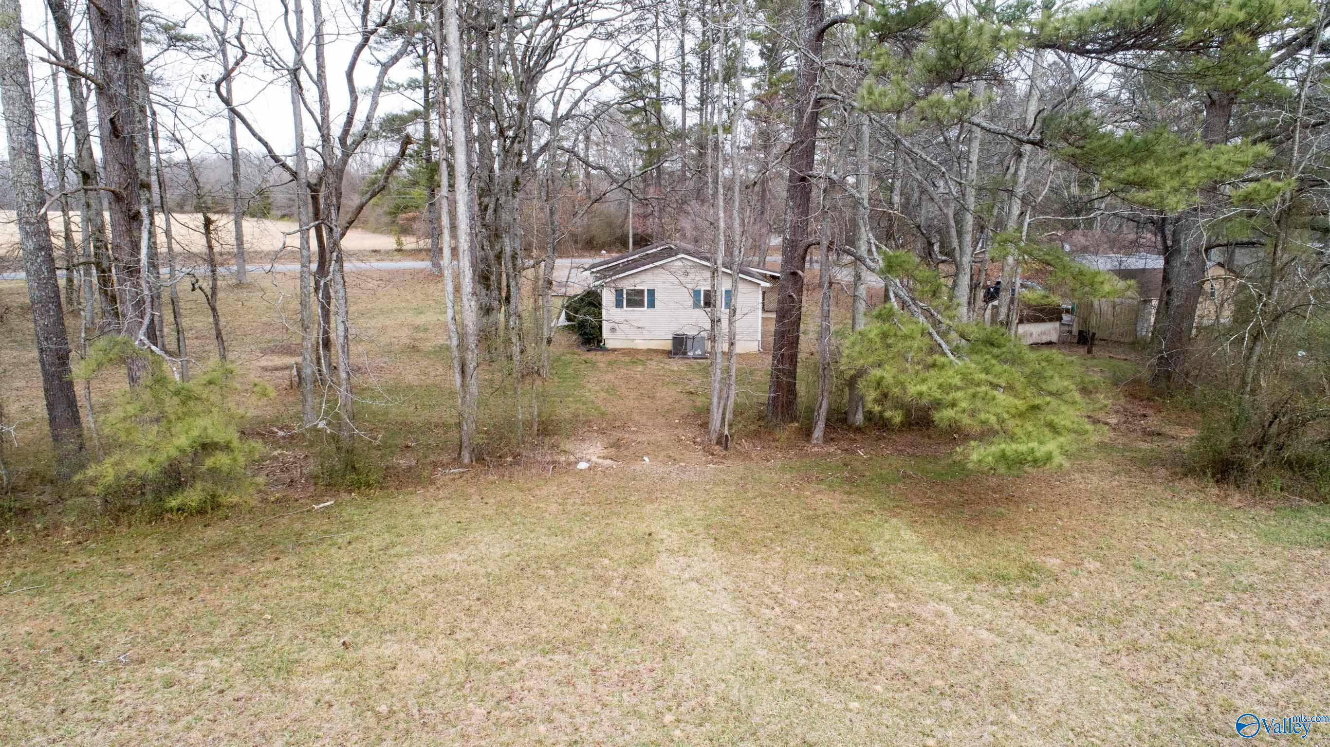 316 Dan Crutcher Road, Toney, Alabama image 43