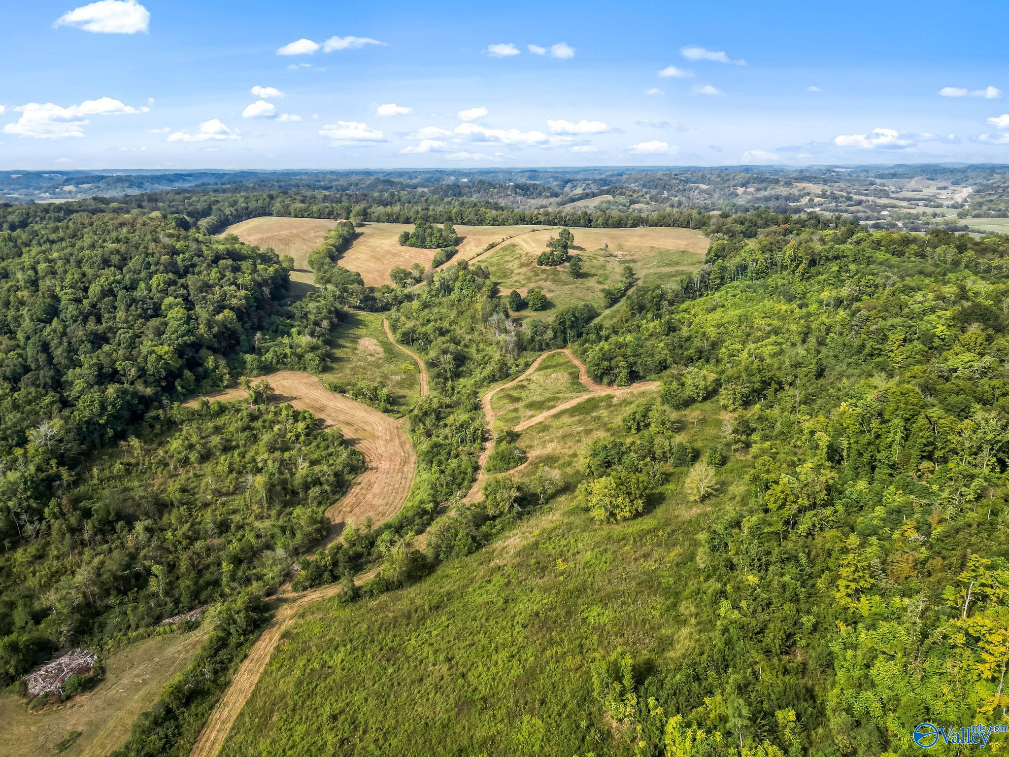 2361 Woodrow Station Road, Frankewing, Tennessee image 9