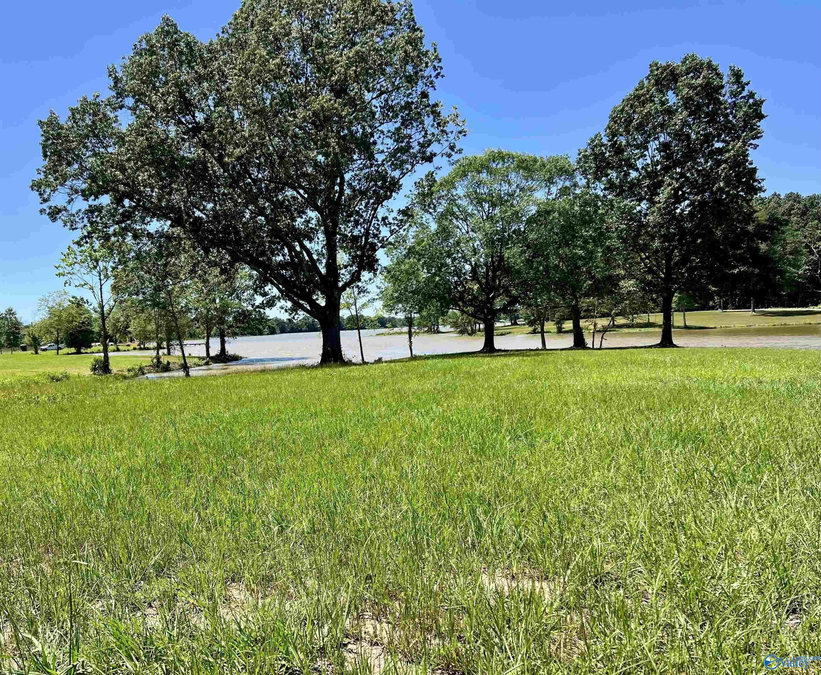12 & 13 County Road 115, Cedar Bluff, Alabama image 5