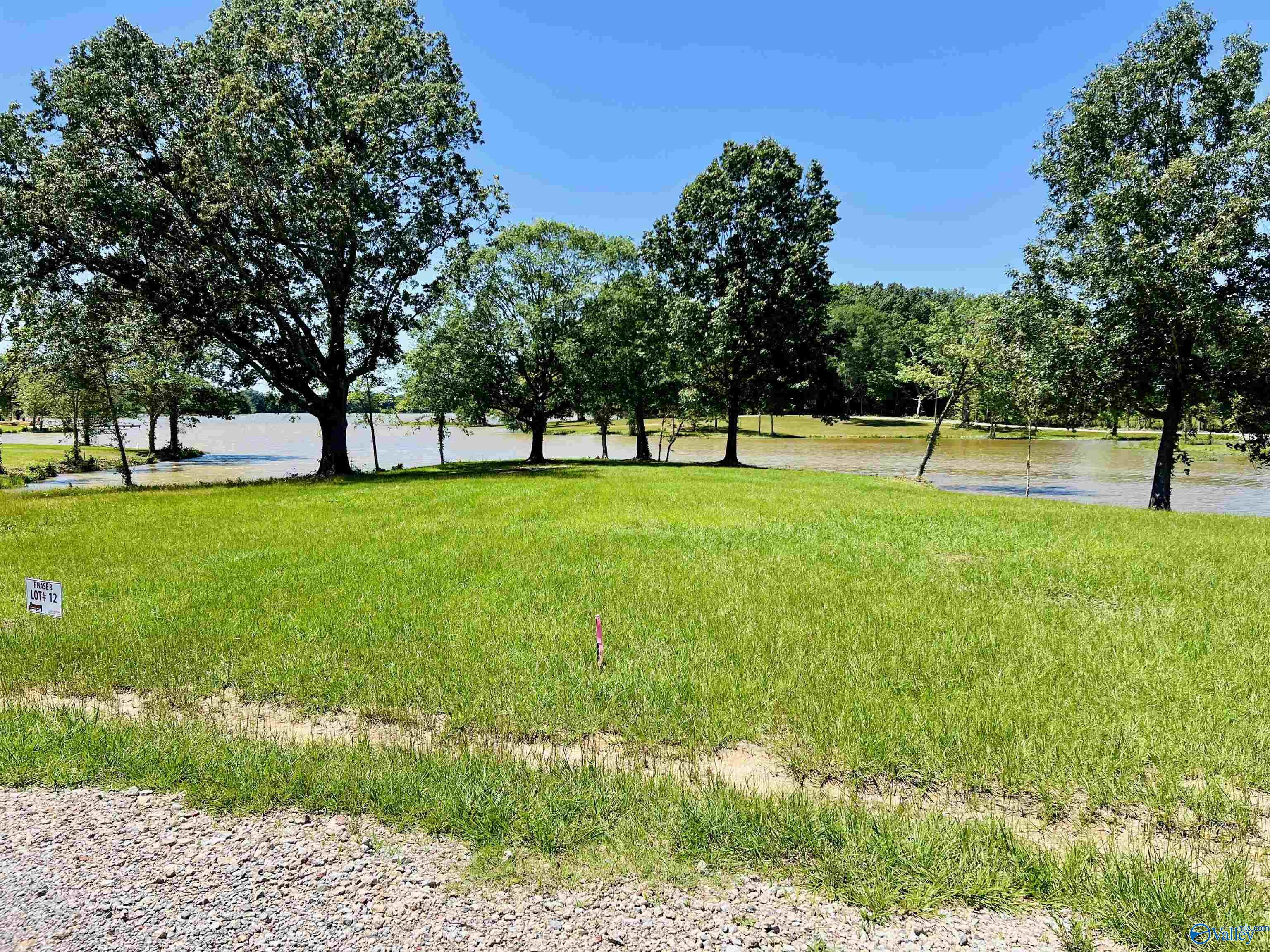 12 & 13 County Road 115, Cedar Bluff, Alabama image 2