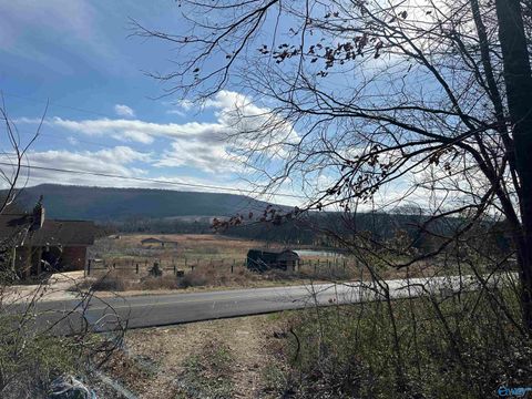 Vacant Land For Sale - 5 ACRES Hurricane Road<br/> New Market, AL 35761