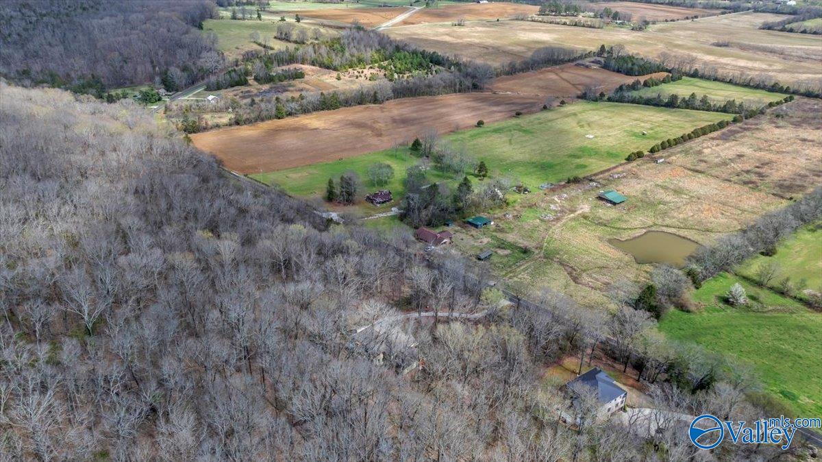 5 Acres Hurricane Road, New Market, Alabama image 12