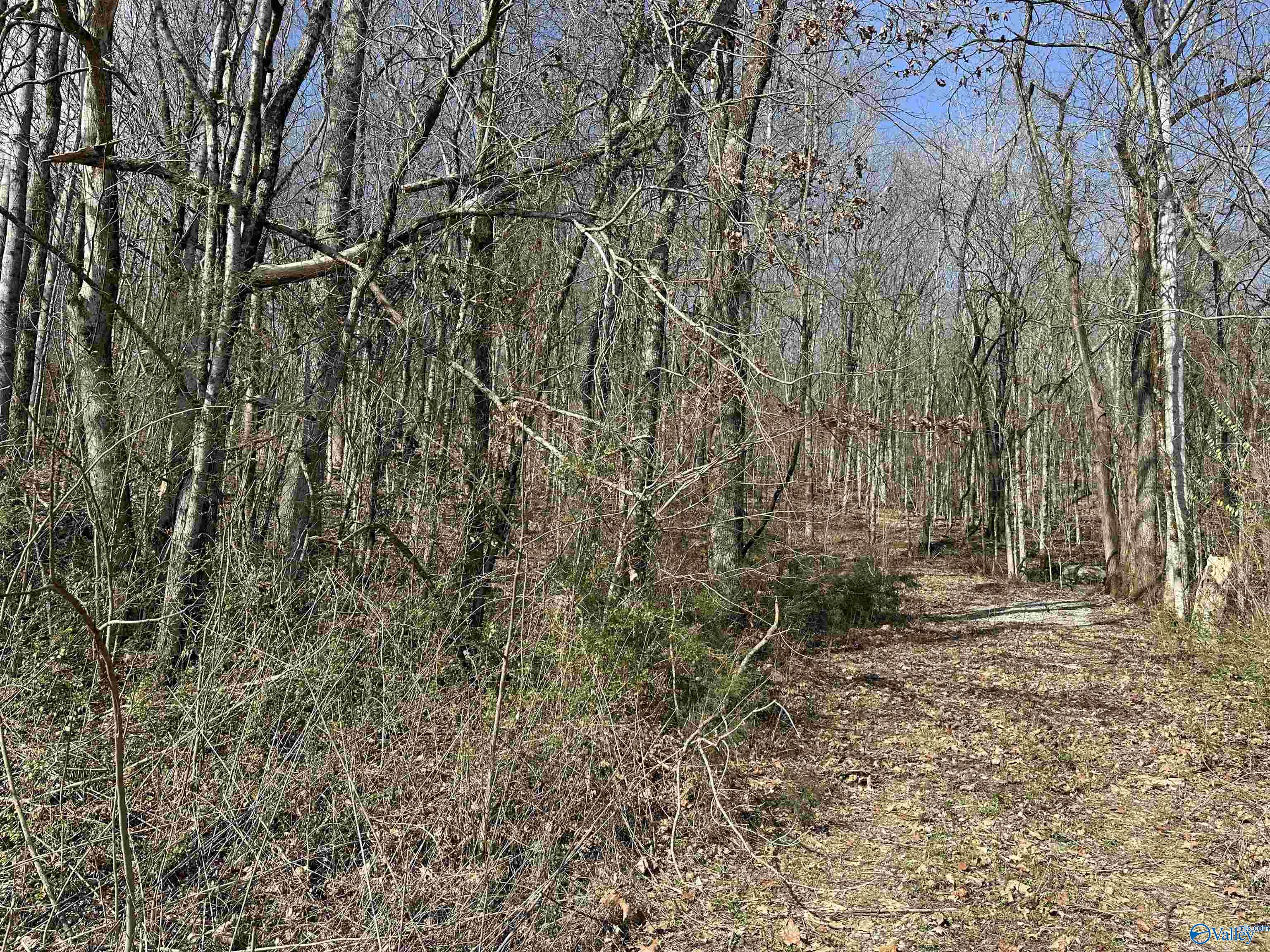 5 Acres Hurricane Road, New Market, Alabama image 1