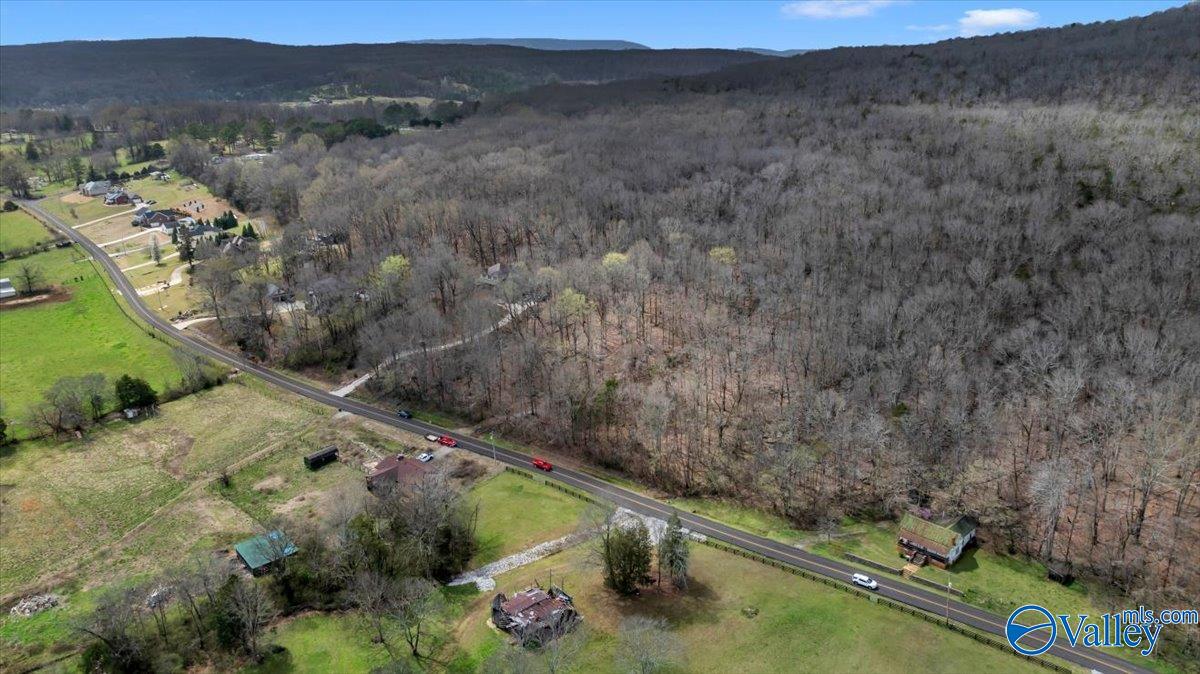 5 Acres Hurricane Road, New Market, Alabama image 15