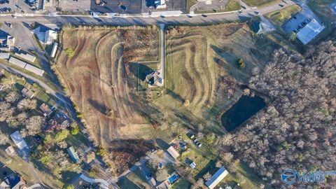 Vacant Land For Sale - 11.97+/- ACRES Main Street<br/> Grant, AL 35747