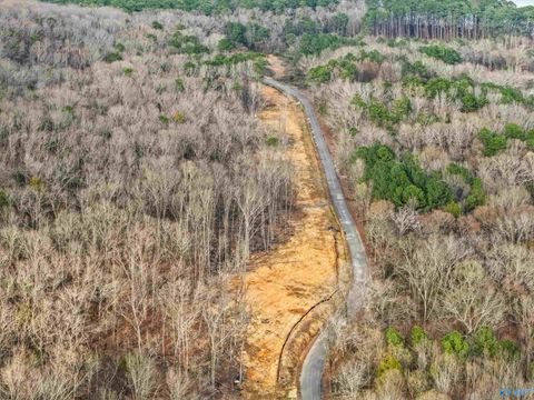 Vacant Land For Sale - 900-B LOT 11 County Road 114<br/> Jackson County, Scottsboro, AL 35769