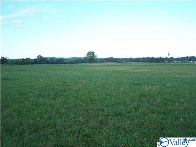 85 acres County Road 55