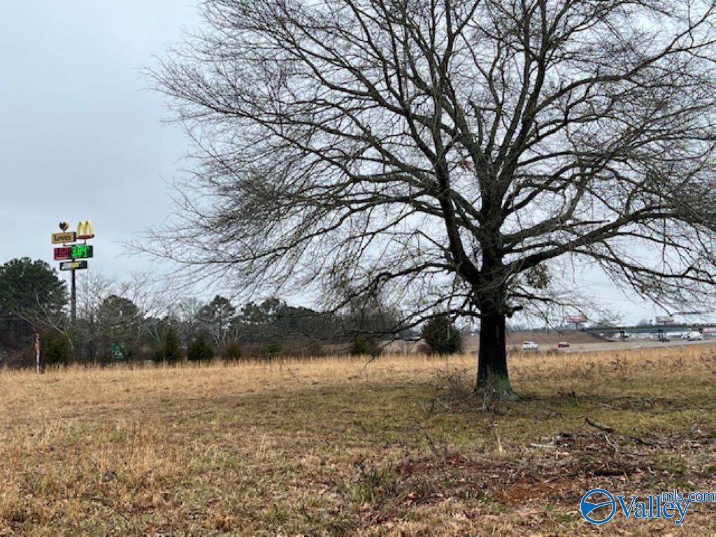 85 acres County Road 55