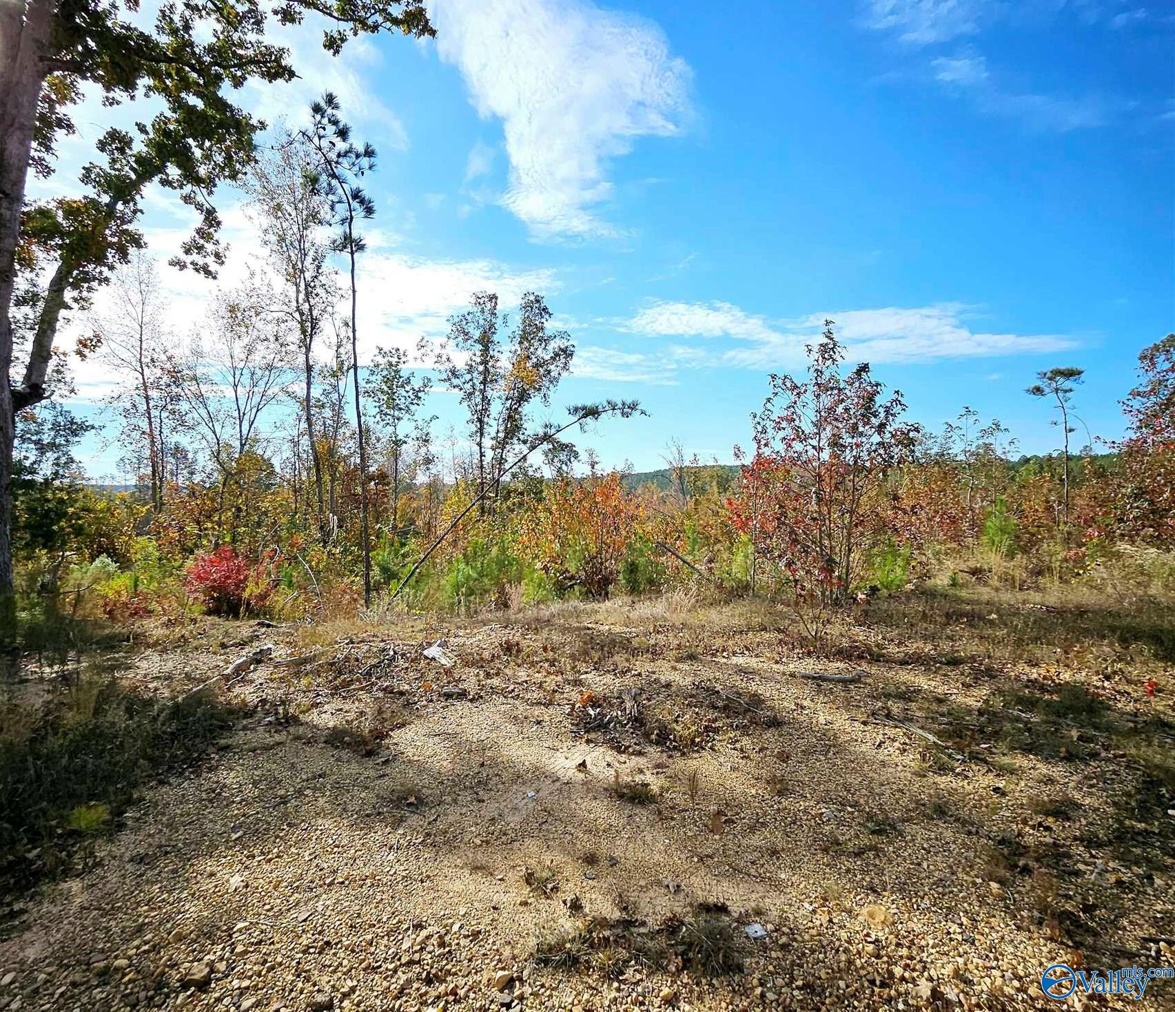 3083 County Road 325, Hamilton, Alabama image 8