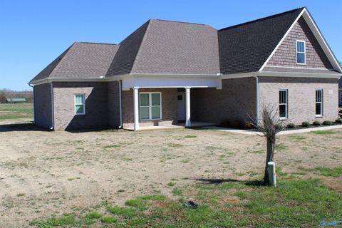 Photo of 4457 Elkwood Section Road, Ardmore, AL 35739 (MLS # 21912473)