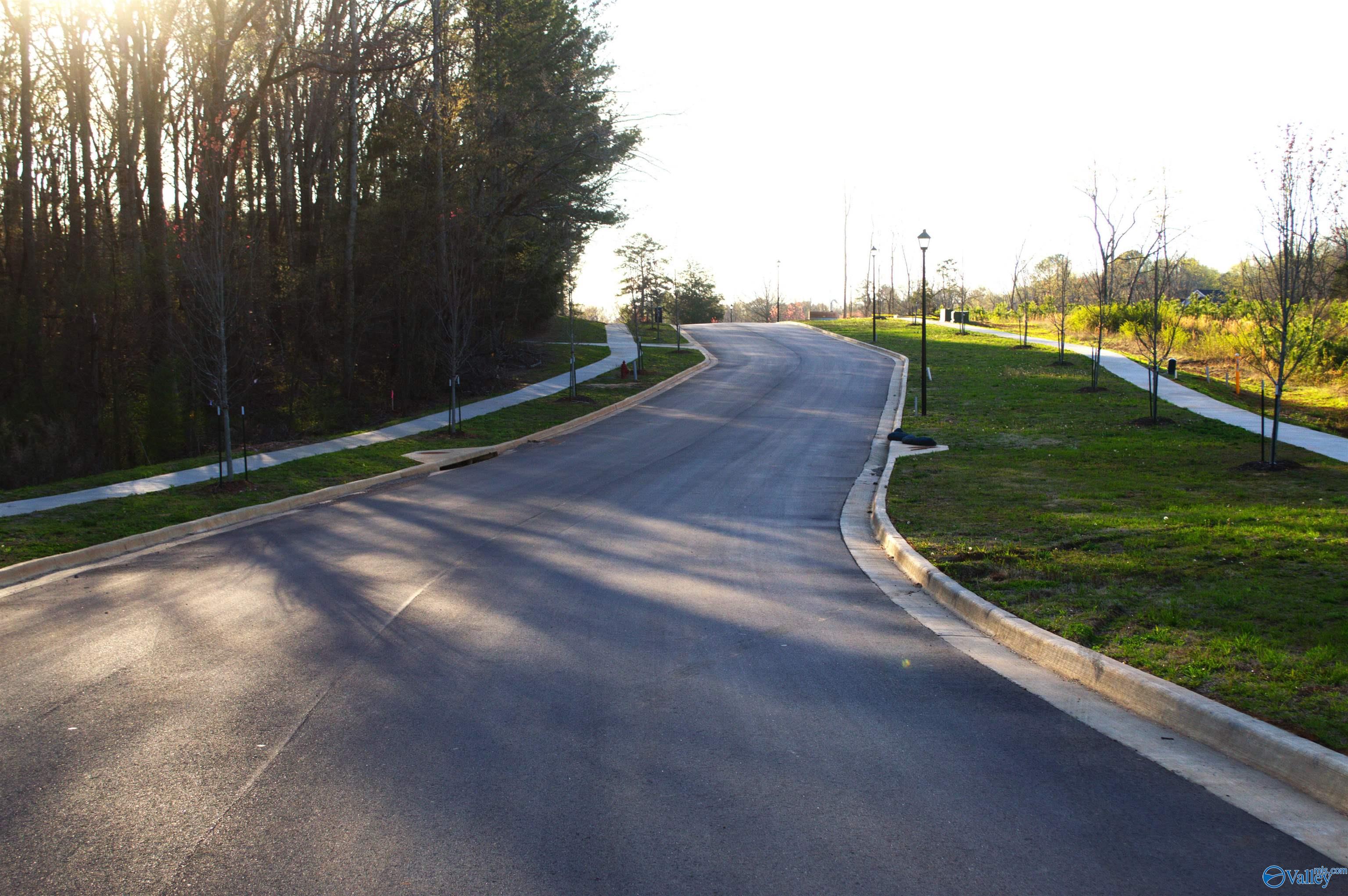 Lot 1 Madison Branch Boulevard, Madison, Alabama image 1