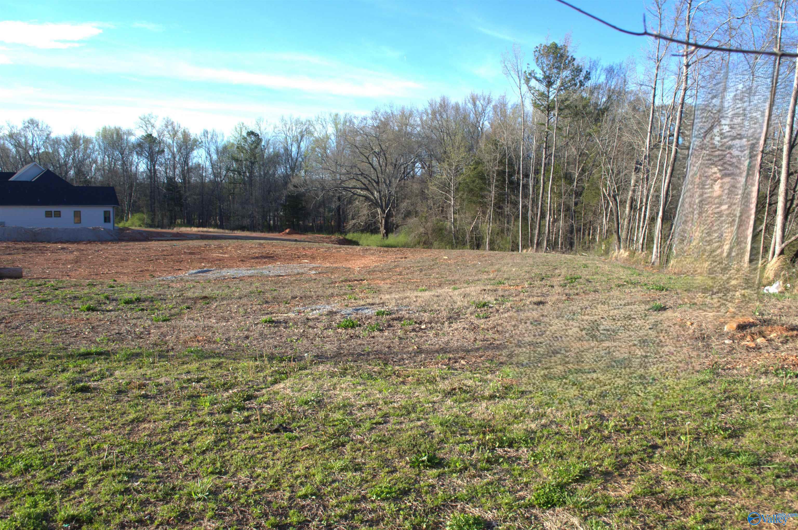 Lot 1 Madison Branch Boulevard, Madison, Alabama image 3