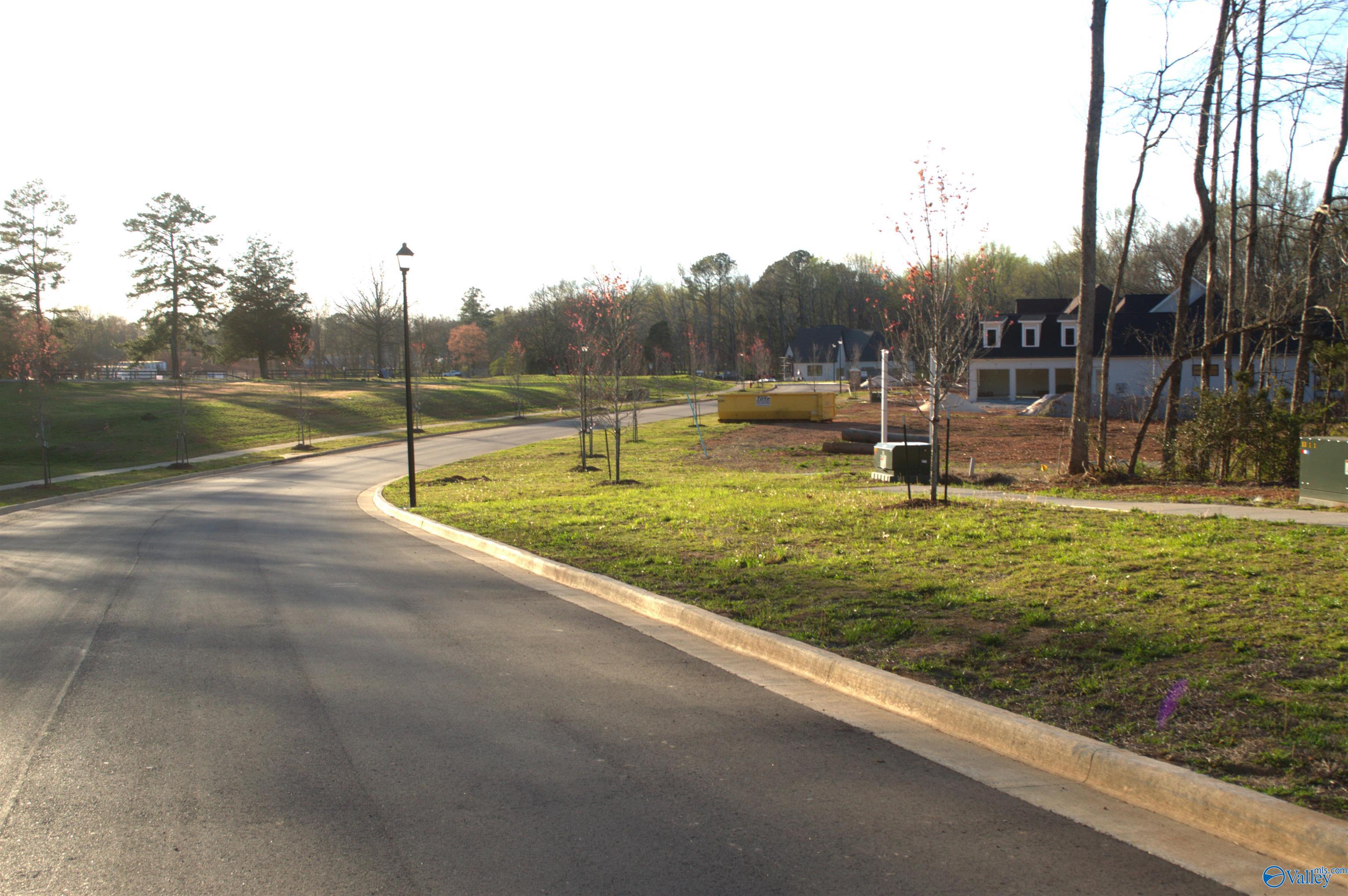 Lot 1 Madison Branch Boulevard, Madison, Alabama image 2