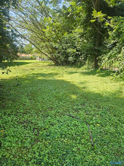 Vacant Land For Sale - 902 Vine Street<br/> Decatur, AL 35601