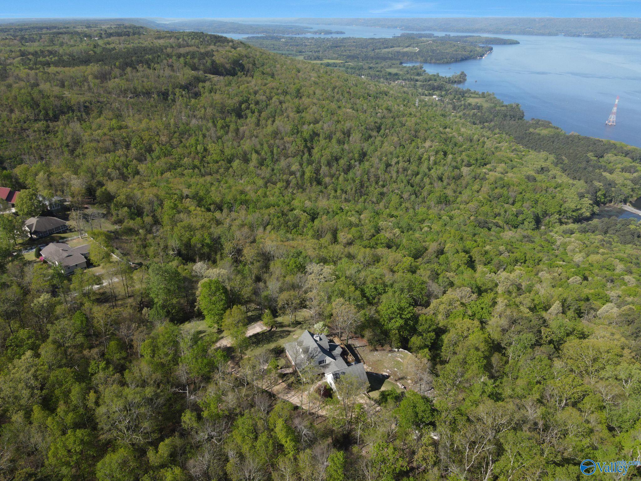 189 Rose Street, Section, Alabama image 49