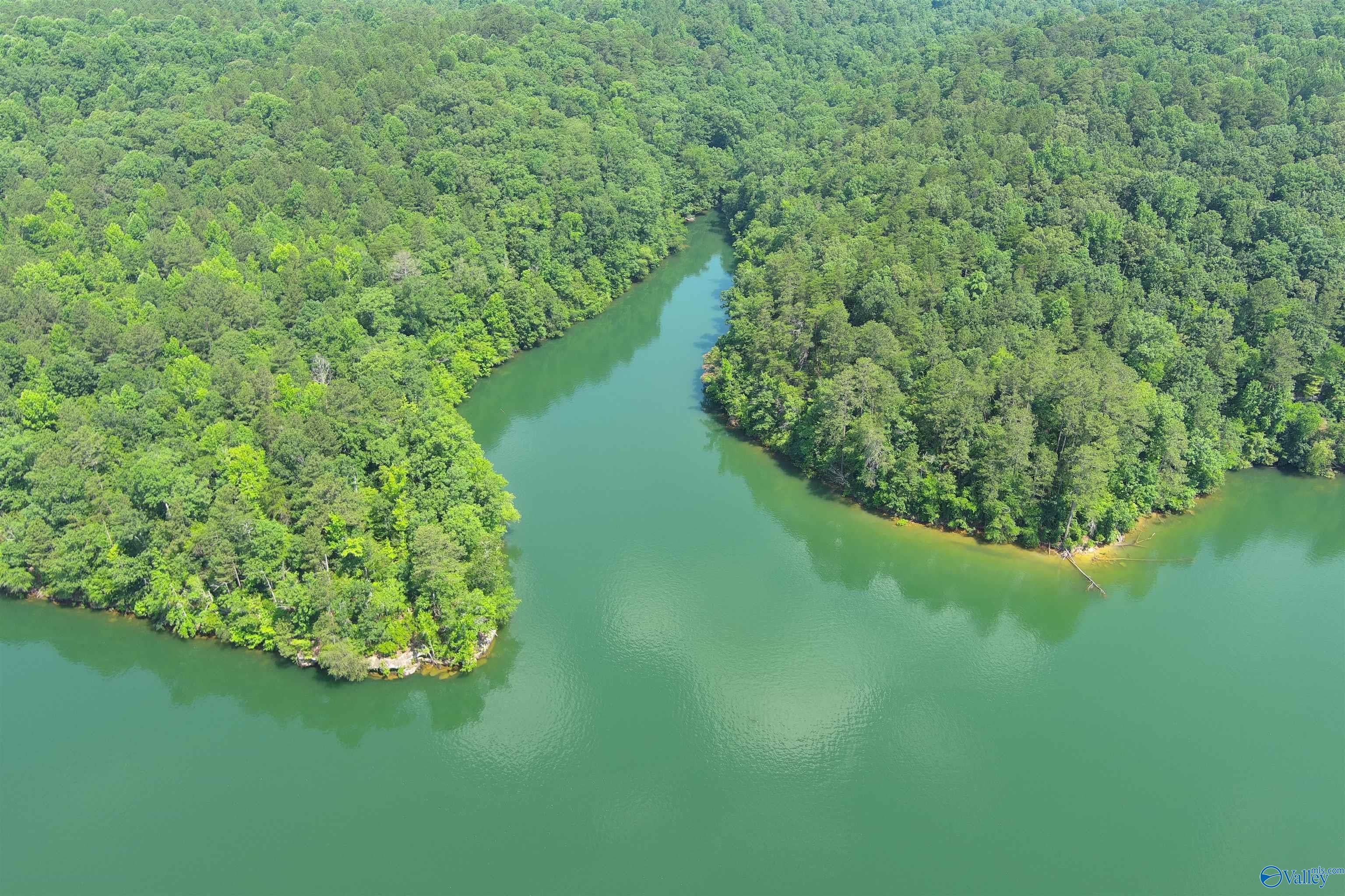 83 Acres CL CK Smith Lake, Double Springs, Alabama image 1