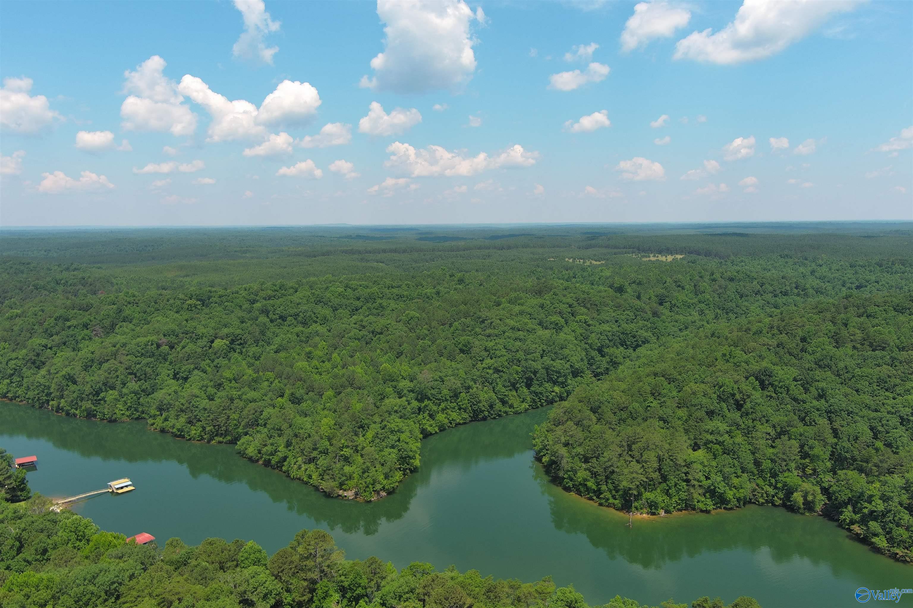 83 Acres CL CK Smith Lake, Double Springs, Alabama image 3