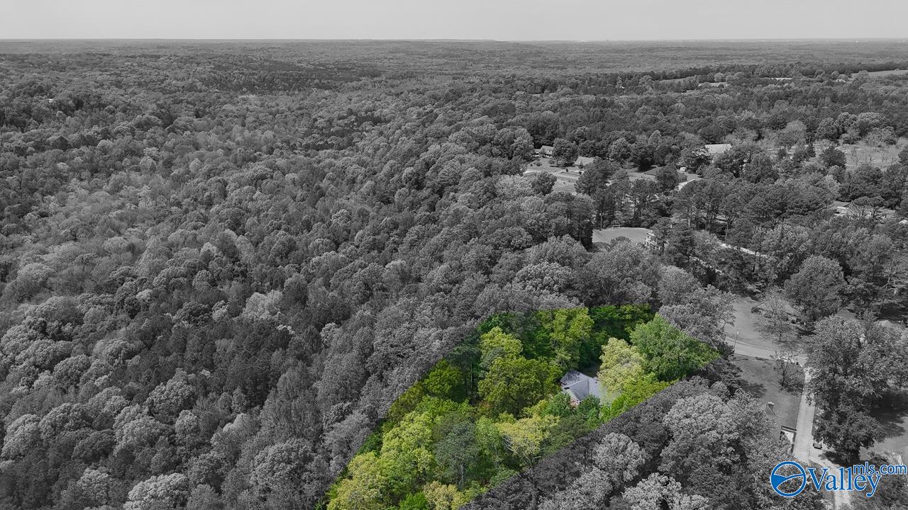 326 Bluff Drive, Hartselle, Alabama image 13